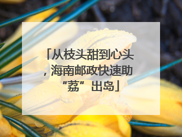 从枝头甜到心头，海南邮政快速助“荔”出岛