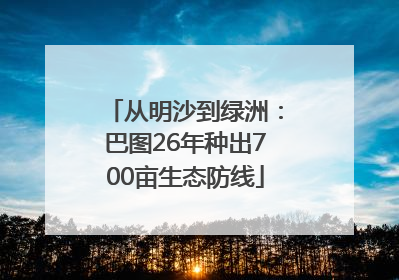 从明沙到绿洲：巴图26年种出700亩生态防线