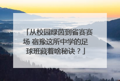 从校园绿茵到省赛赛场 宿豫这所中学的足球班藏着啥秘诀？