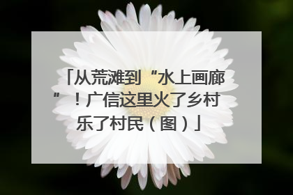 从荒滩到“水上画廊”！广信这里火了乡村 乐了村民（图）