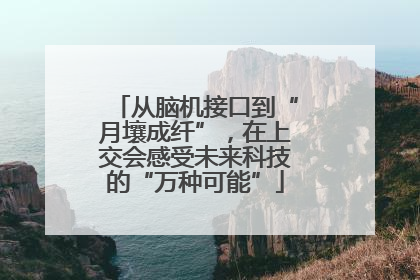 从脑机接口到“月壤成纤”，在上交会感受未来科技的“万种可能”