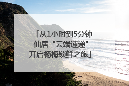 从1小时到5分钟 仙居“云端速递”开启杨梅锁鲜之旅