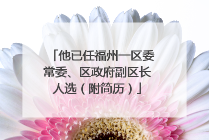 他已任福州一区委常委、区政府副区长人选（附简历）