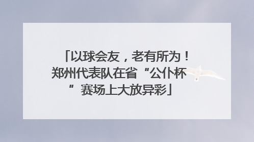以球会友，老有所为！郑州代表队在省“公仆杯”赛场上大放异彩