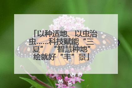 以种适地、以虫治虫……科技赋能“三夏” “智慧种地”绘就好“丰”景