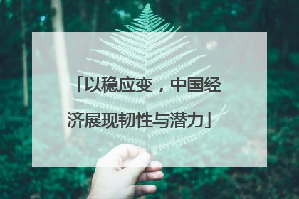 以稳应变，中国经济展现韧性与潜力