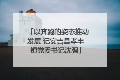 以奔跑的姿态推动发展 记安吉县孝丰镇党委书记沈强