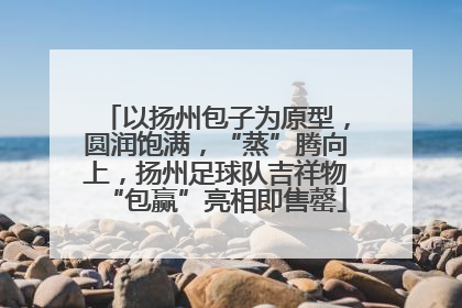 以扬州包子为原型，圆润饱满，“蒸”腾向上，扬州足球队吉祥物“包赢”亮相即售罄