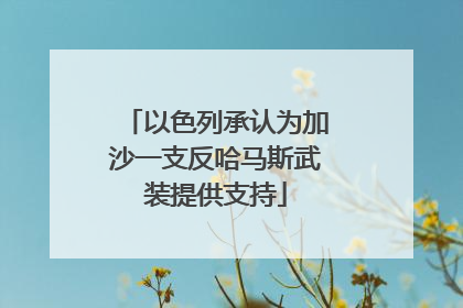 以色列承认为加沙一支反哈马斯武装提供支持