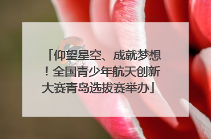 仰望星空、成就梦想！全国青少年航天创新大赛青岛选拔赛举办