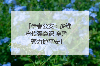 伊春公安：多维宣传强意识 全警聚力护平安