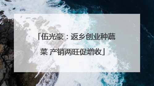伍光豪：返乡创业种蔬菜 产销两旺促增收
