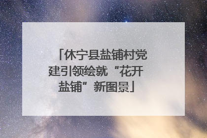 休宁县盐铺村党建引领绘就“花开盐铺”新图景