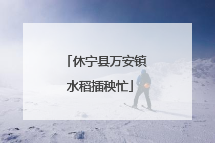 休宁县万安镇水稻插秧忙