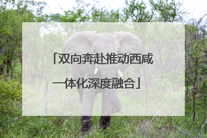 双向奔赴推动西咸一体化深度融合