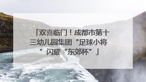 双喜临门！成都市第十三幼儿园集团“足球小将”闪耀“东郊杯”