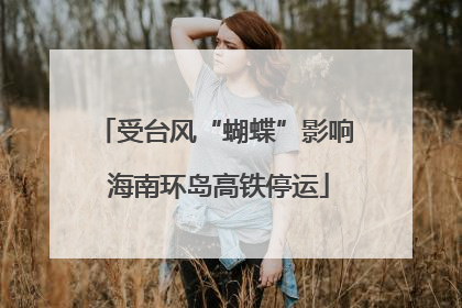 受台风“蝴蝶”影响 海南环岛高铁停运