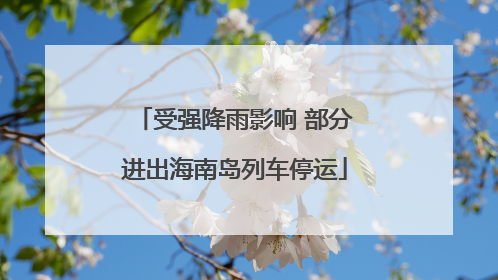 受强降雨影响 部分进出海南岛列车停运
