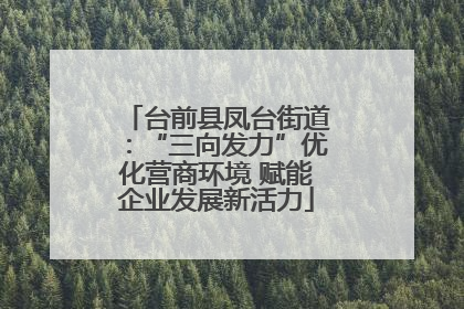 台前县凤台街道：“三向发力”优化营商环境 赋能企业发展新活力