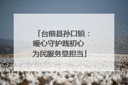台前县孙口镇：暖心守护践初心 为民服务显担当