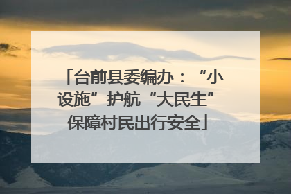 台前县委编办：“小设施”护航“大民生” 保障村民出行安全