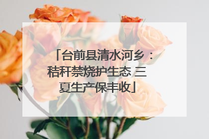 台前县清水河乡：秸秆禁烧护生态 三夏生产保丰收