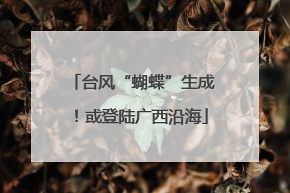 台风“蝴蝶”生成！或登陆广西沿海