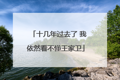 十几年过去了 我依然看不懂王家卫