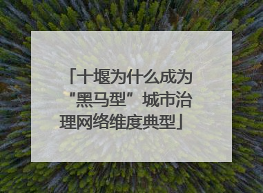 十堰为什么成为“黑马型”城市治理网络维度典型