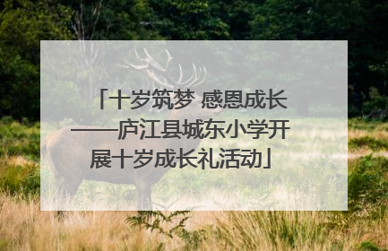 十岁筑梦 感恩成长——庐江县城东小学开展十岁成长礼活动