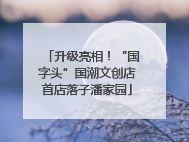 升级亮相！“国字头”国潮文创店首店落子潘家园