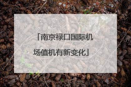南京禄口国际机场值机有新变化