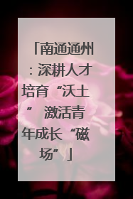 南通通州：深耕人才培育“沃土” 激活青年成长“磁场”