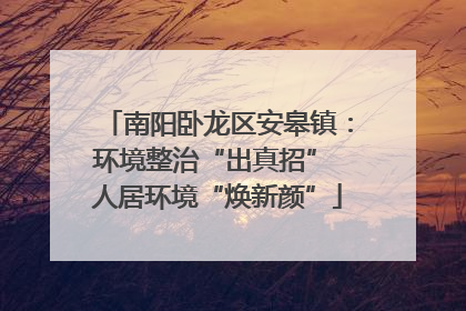 南阳卧龙区安皋镇：环境整治“出真招” 人居环境“焕新颜”
