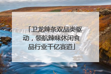 卫龙辣条双品类驱动，领航辣味休闲食品行业千亿赛道