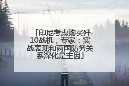 印尼考虑购买歼-10战机，专家：实战表现和两国防务关系深化是主因