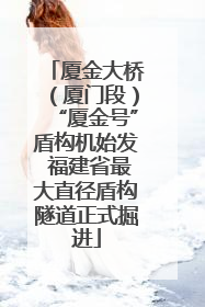 厦金大桥（厦门段）“厦金号”盾构机始发 福建省最大直径盾构隧道正式掘进