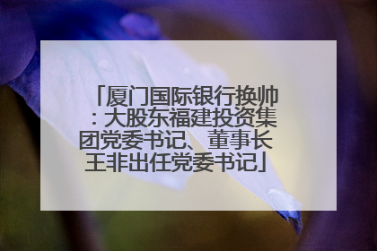 厦门国际银行换帅：大股东福建投资集团党委书记、董事长王非出任党委书记