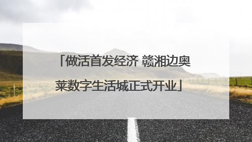 做活首发经济 赣湘边奥莱数字生活城正式开业