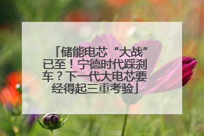 储能电芯“大战”已至！宁德时代踩刹车？下一代大电芯要经得起三重考验
