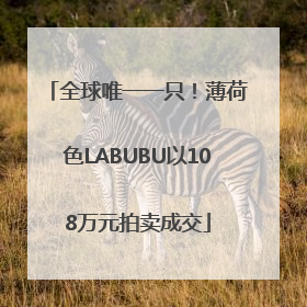 全球唯一一只！薄荷色LABUBU以108万元拍卖成交