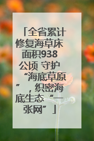 全省累计修复海草床面积938公顷 守护“海底草原”，织密海底生态“一张网”