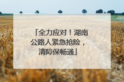 全力应对！湖南公路人紧急抢险，清障保畅通