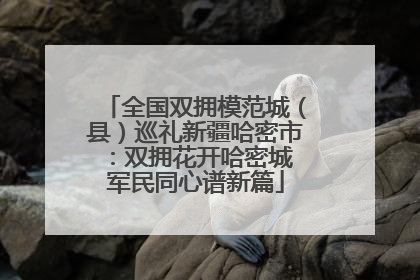 全国双拥模范城（县）巡礼新疆哈密市：双拥花开哈密城 军民同心谱新篇