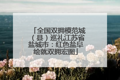 全国双拥模范城（县）巡礼江苏省盐城市：红色盐阜绘就双拥宏图