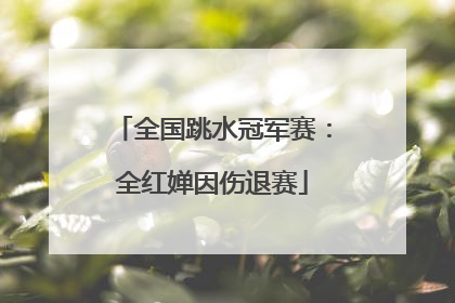 全国跳水冠军赛：全红婵因伤退赛