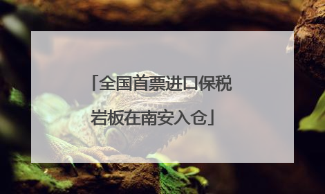全国首票进口保税岩板在南安入仓