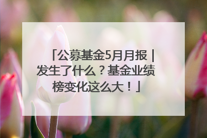 公募基金5月月报｜发生了什么？基金业绩榜变化这么大！