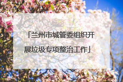 兰州市城管委组织开展垃圾专项整治工作