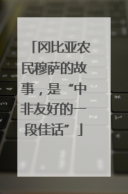 冈比亚农民穆萨的故事，是“中非友好的一段佳话”